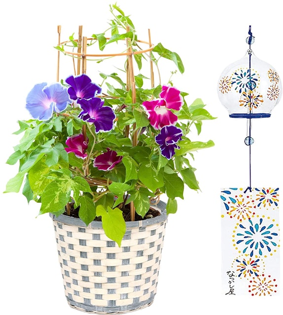 Gyjre7ehznksym Gyjre7ehznksym