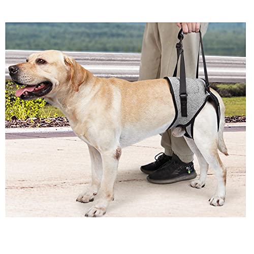 Assistant band 　犬用介護ハーネス チェック柄　Mサイズ porto_dog-harness-m