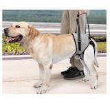 犬用介護ハーネスのおすすめ人気ランキング【2026年6月】 5