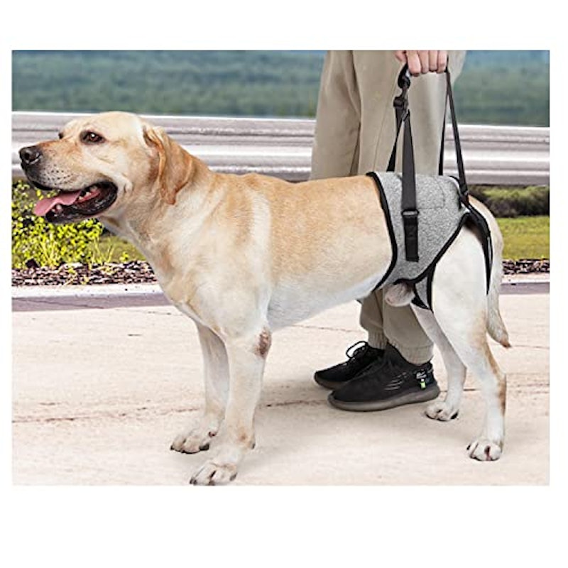犬用介護ハーネス 1