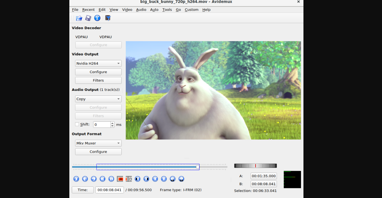 Mean Avidemux 1枚目