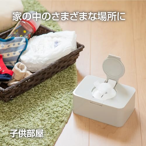 ウエットティッシュケースとヘッドキャップのセット 2-1 ウェットティッシュケースのおすすめ人気ランキング【2025年