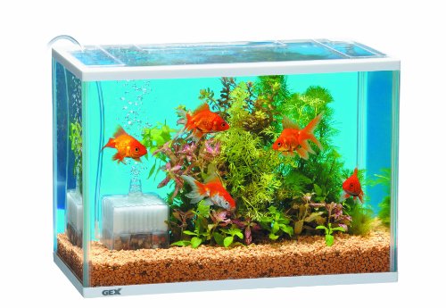 金魚用フィルターのおすすめ人気ランキング【2025年】 | マイベスト