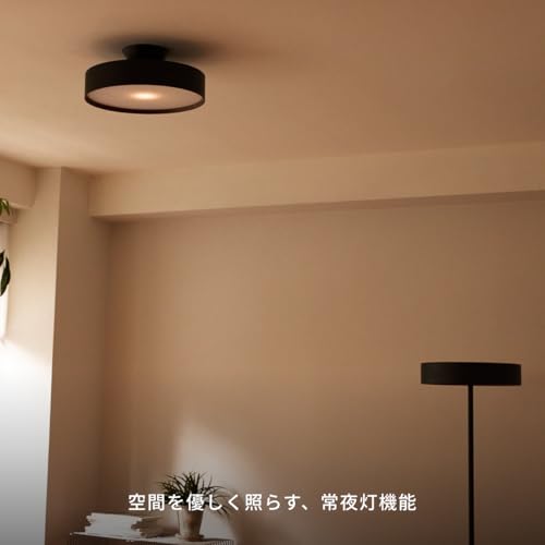 グロー 3000 LED シーリングライト 2