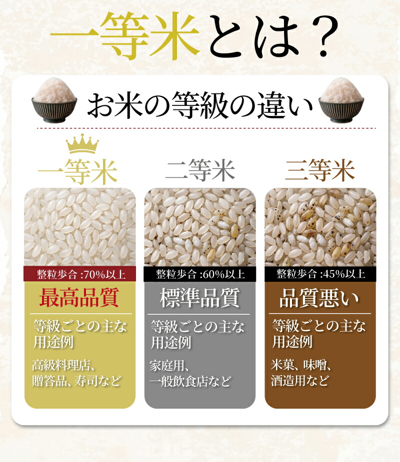 令和8年産 千葉県産 コシヒカリ 5kg 3