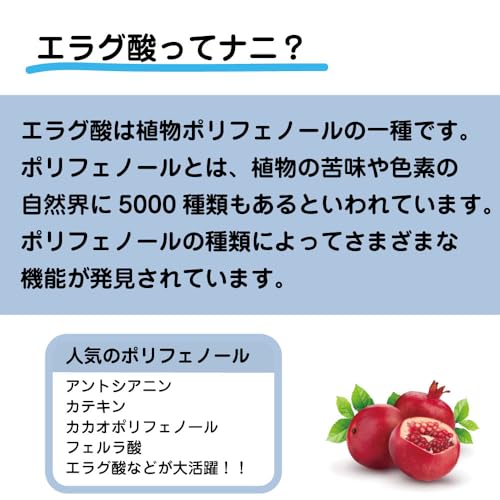 エラグ酸120ｍｇ 2