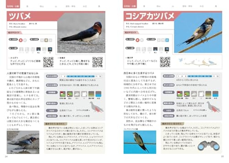 日本の野鳥 さえずり・地鳴き図鑑 増補新装版 スマホ・PCで鳴き声を聴き分ける厳選200種 2