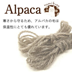 あみもねっと アルパカ天然色並太 4