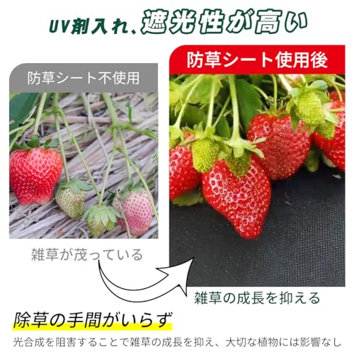 防草シート 3