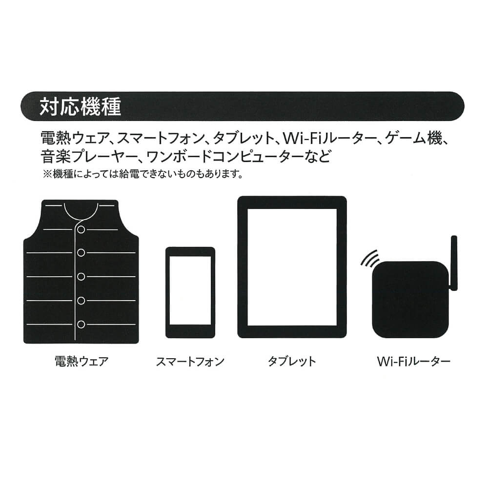 エレクサーモバッテリー10000 5