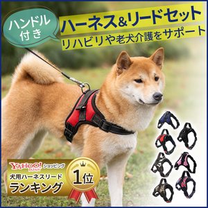 22年 小型犬用ハーネスのおすすめ人気ランキング28選 Mybest