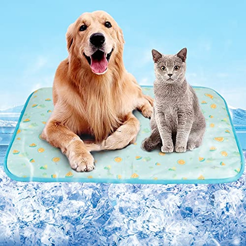 22年 猫用ひんやりマットのおすすめ人気ランキング19選 Mybest 22年 猫用ひんやりマットのおすすめ人気ランキング19選 Mybest