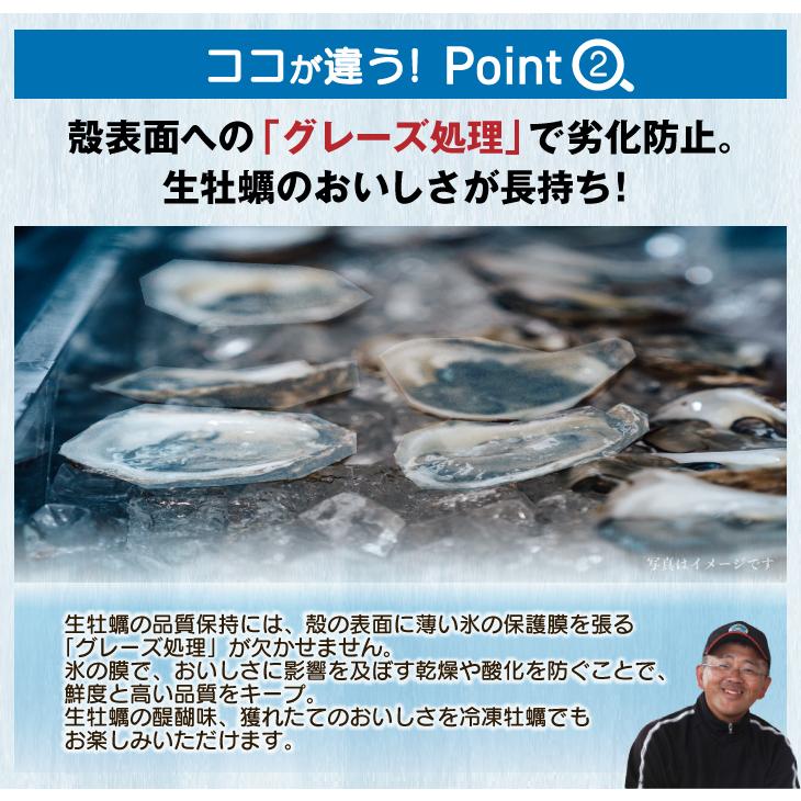  冷凍 殻付き真牡蠣生食可 5