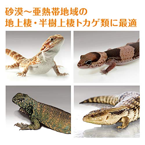 デザートソイル 3