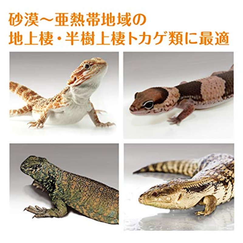 デザートソイル 3