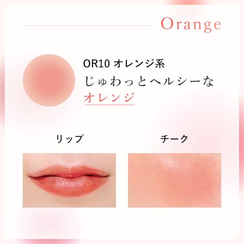 OR10 オレンジ系 3