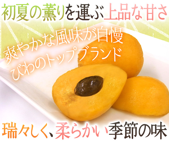 茂木びわ 2