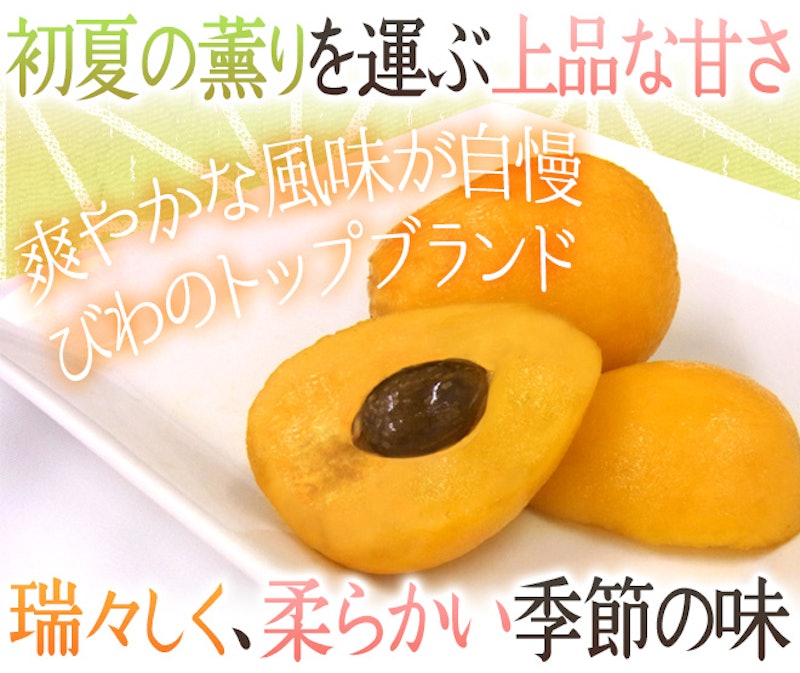 茂木びわ 2