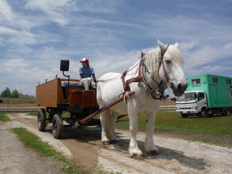 篠崎ポニーランド 2