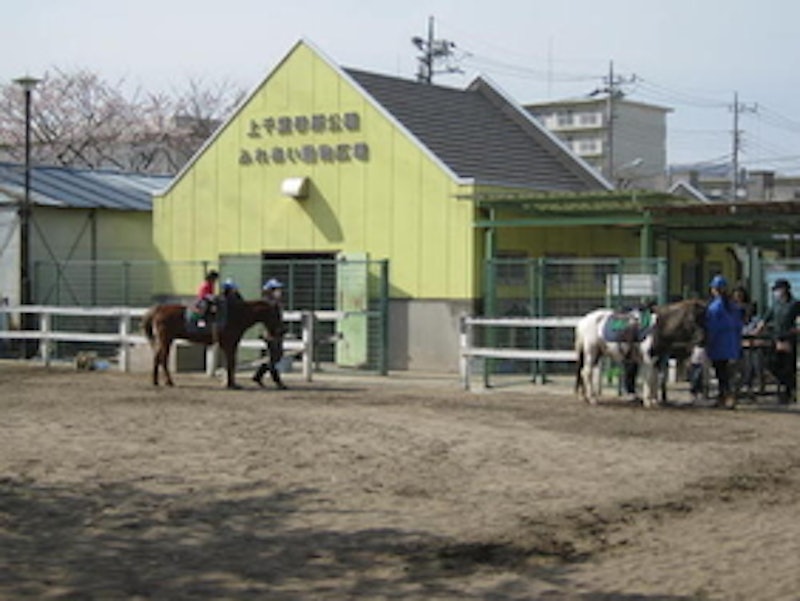 上千葉砂原公園 ふれあい動物広場 1