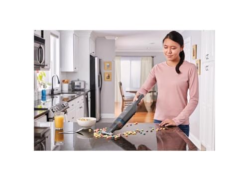 Hand Vacuum AdvancedClean 3
