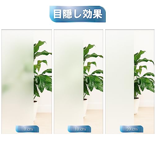 窓用フィルム 6
