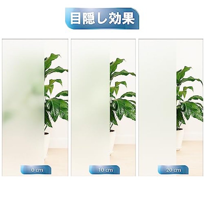 窓用フィルム 6