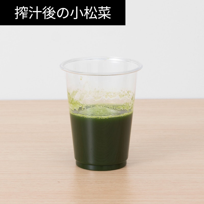 コールドプレスジューサー 12