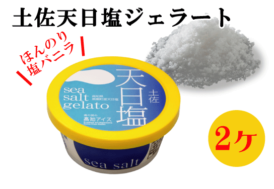 高知アイス 4