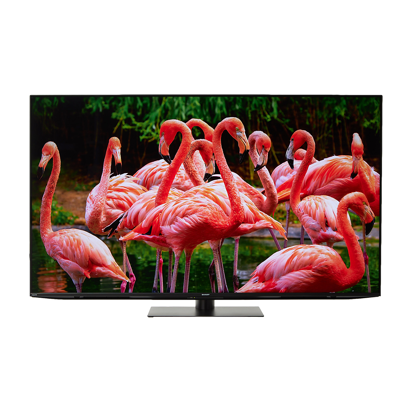 4K液晶テレビ  2