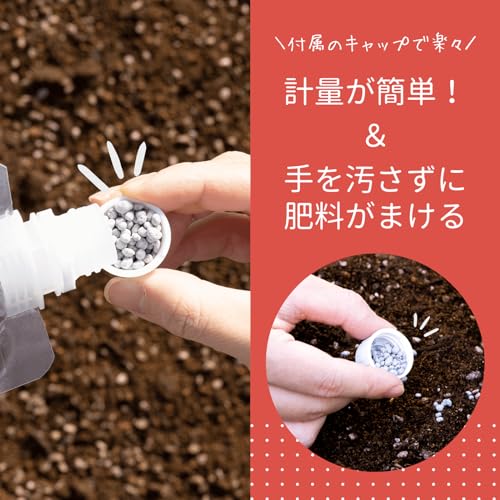 トマトおすすめセット 5