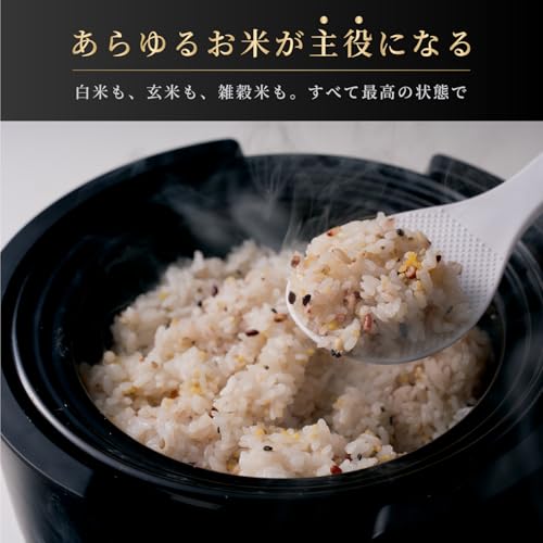 フッ素加工なしの炊飯器のおすすめ人気ランキング【2026年7月】 | マイ