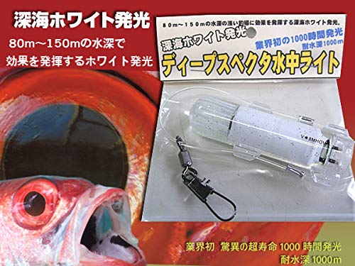 ディープスペクタ 水中ライト 4