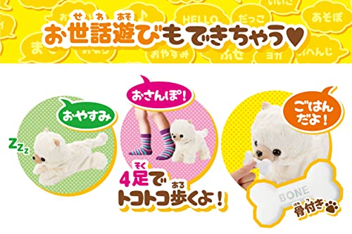 ココさかだちしてPremium 5