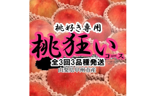 全3回発送 甲州市産桃狂い 全3品種 1