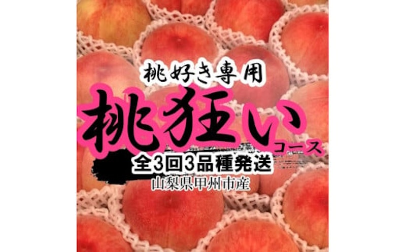 全3回発送 甲州市産桃狂い 全3品種 1