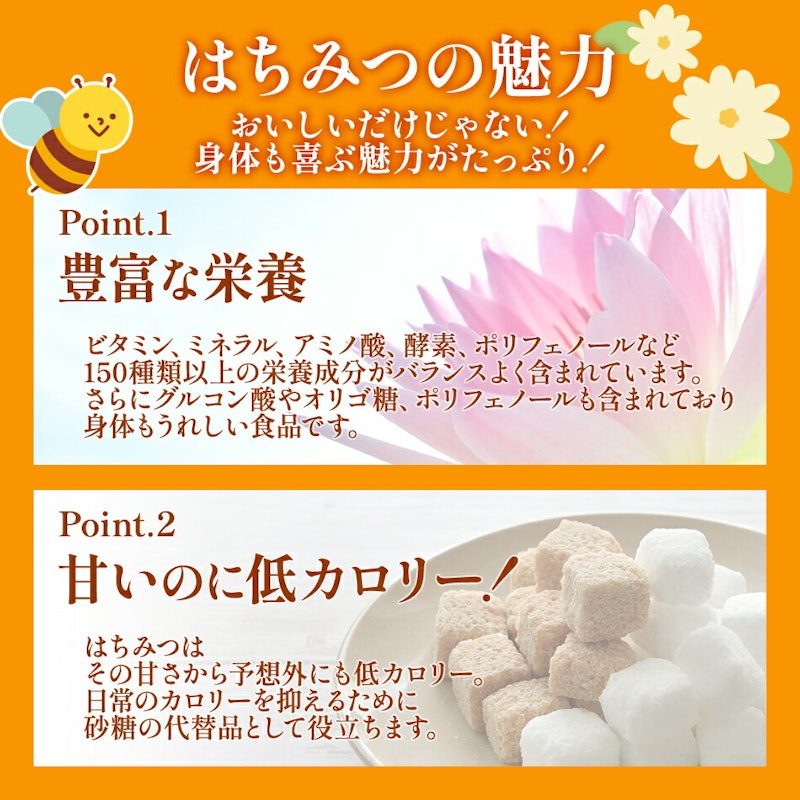 国産蜂蜜ギフト 4