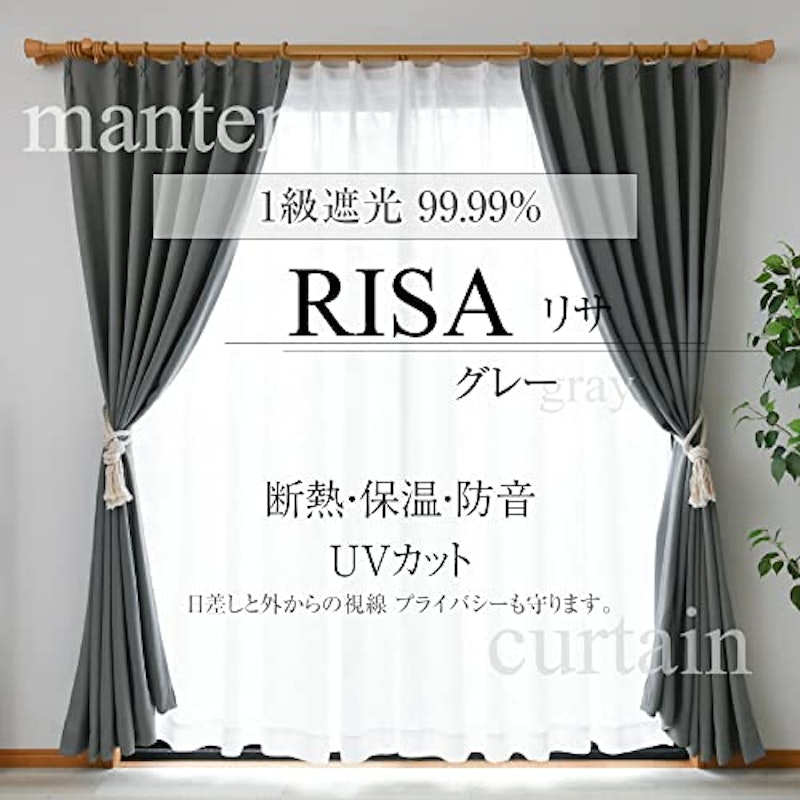RISA 2