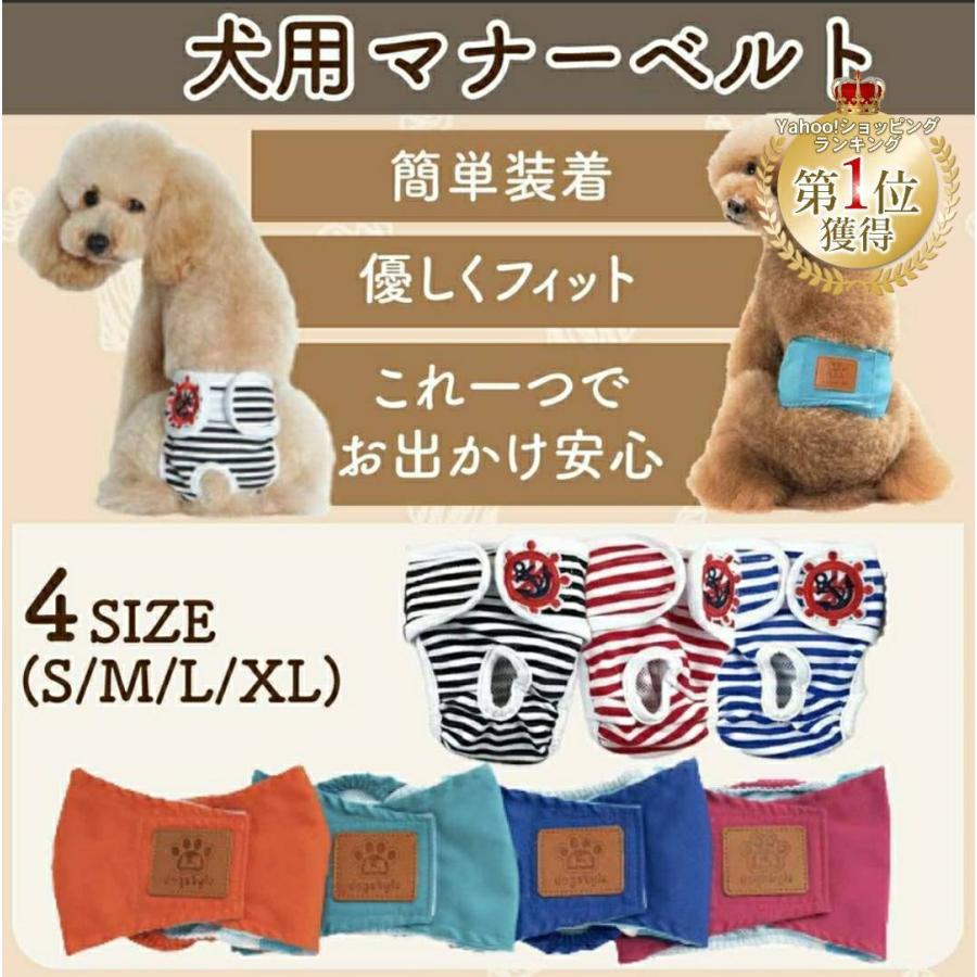 マナーベルト 2