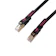 ASUS ROG CAT7 CABLE 1