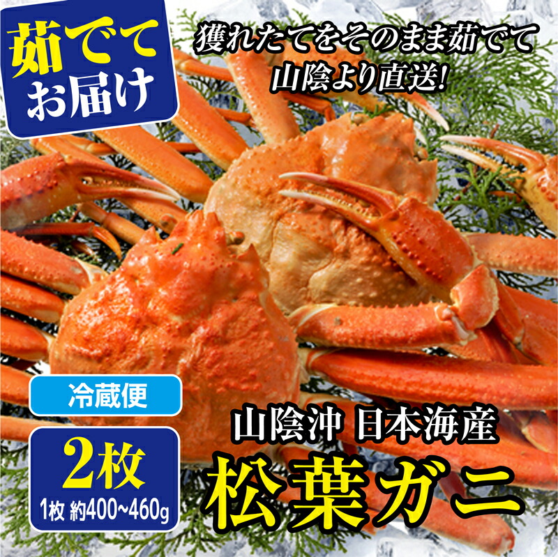 山陰沖日本海産 松葉ガニ 5