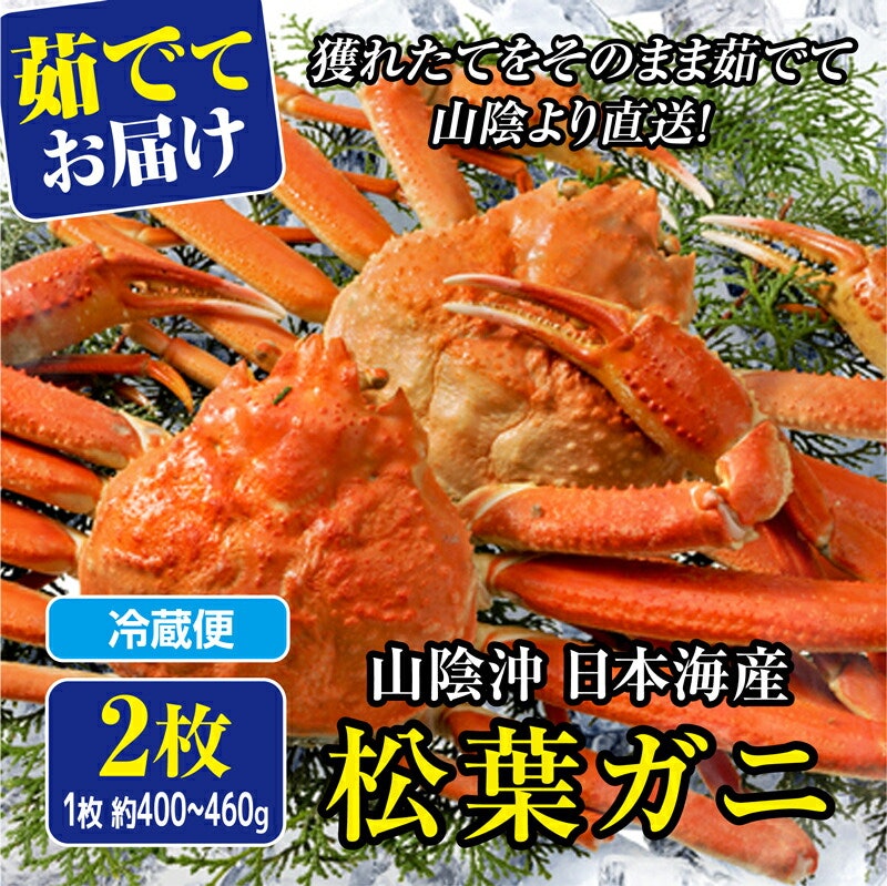 山陰沖日本海産 松葉ガニ 5