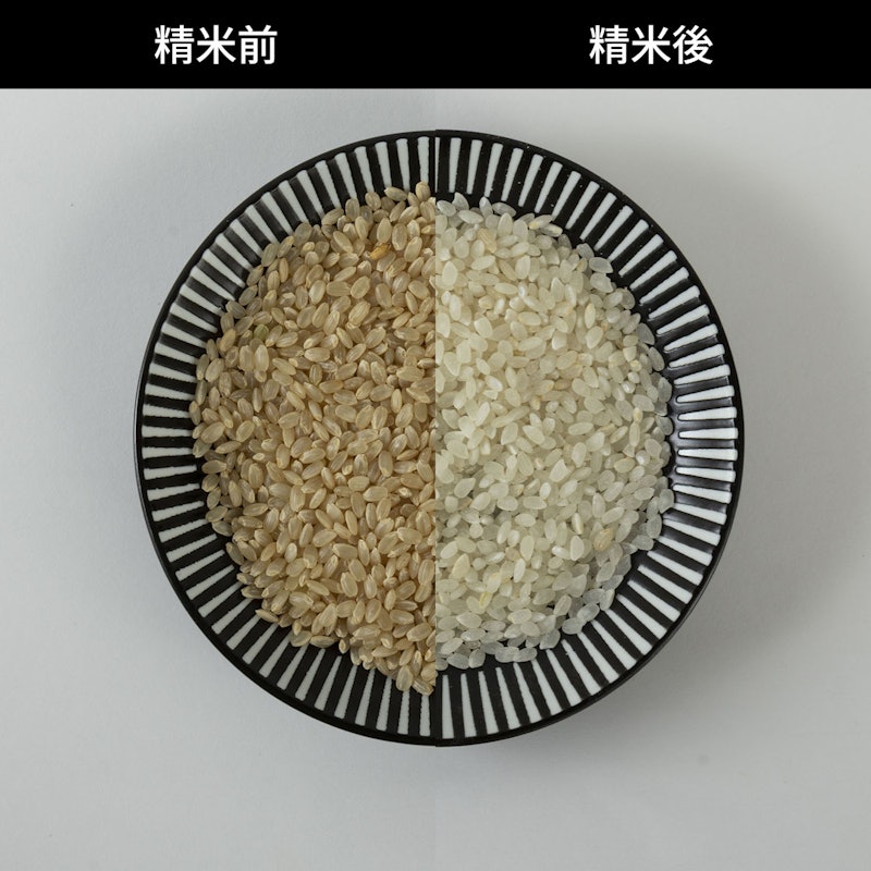 つきたて風味 5