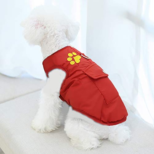 犬の冬服のおすすめ人気ランキング選 Mybest