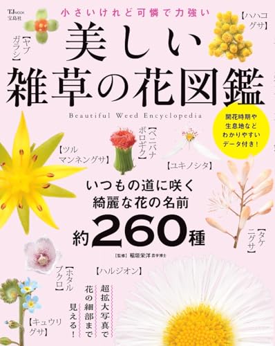 美しい雑草の花図鑑 1