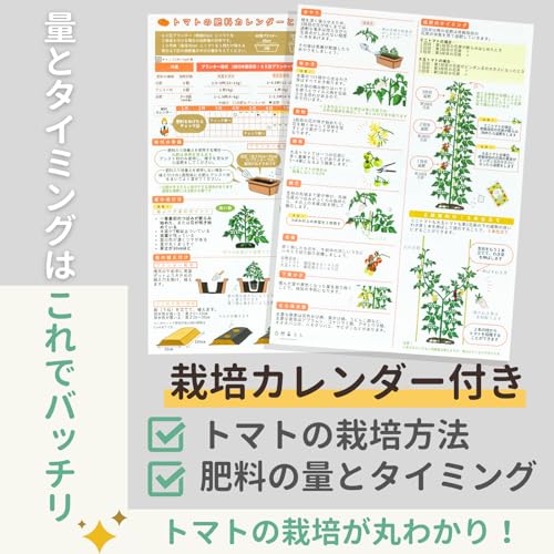 トマトおすすめセット 3