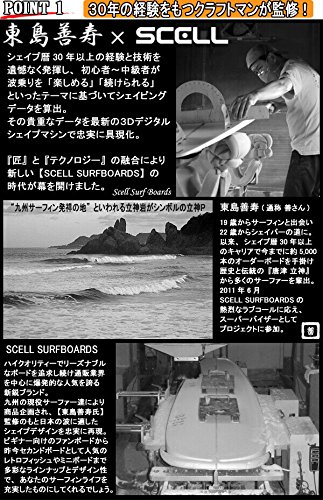ファンボード 4