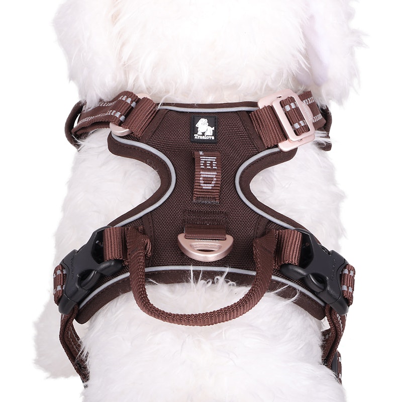 犬用ハーネス 4