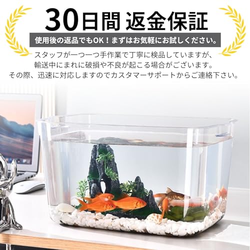 金魚鉢 7
