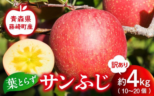 訳あり 産地直送 葉とらずサンふじ 1